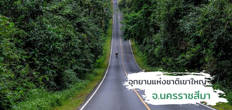 Khao Yai National Park Nakhon Ratchasima Province